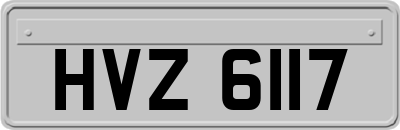 HVZ6117