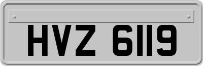 HVZ6119