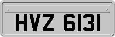 HVZ6131