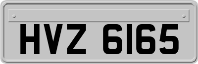 HVZ6165