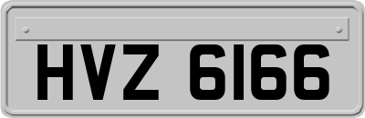 HVZ6166