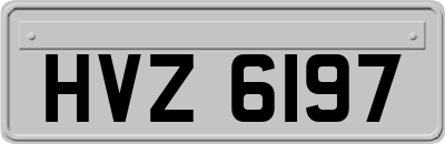 HVZ6197