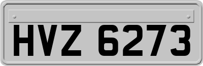 HVZ6273