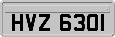 HVZ6301