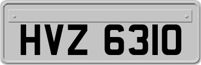 HVZ6310