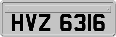 HVZ6316