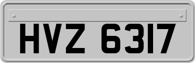 HVZ6317