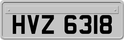 HVZ6318