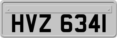 HVZ6341