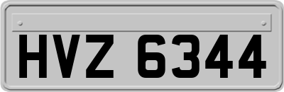 HVZ6344