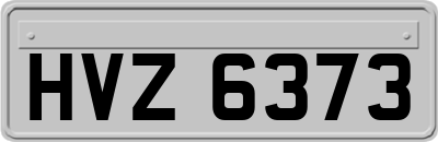 HVZ6373