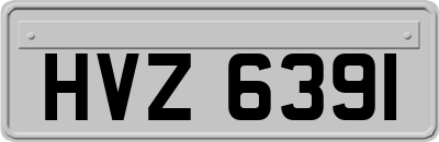 HVZ6391
