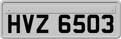 HVZ6503