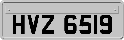 HVZ6519