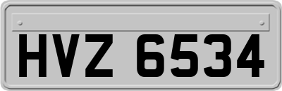 HVZ6534