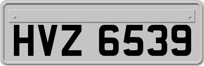 HVZ6539