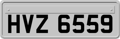 HVZ6559
