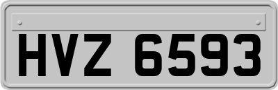 HVZ6593