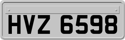 HVZ6598