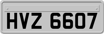 HVZ6607