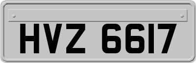 HVZ6617