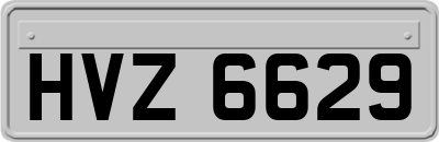 HVZ6629