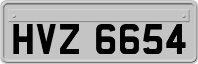 HVZ6654