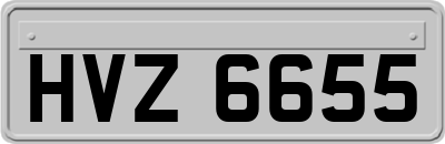 HVZ6655