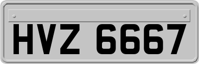 HVZ6667