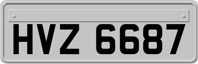 HVZ6687