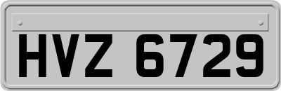 HVZ6729