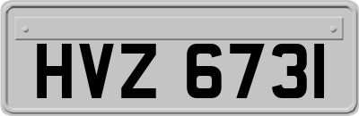 HVZ6731
