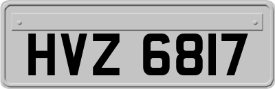 HVZ6817