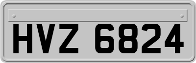 HVZ6824