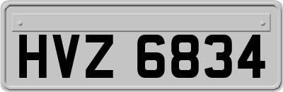 HVZ6834