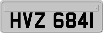 HVZ6841