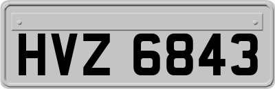 HVZ6843