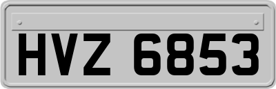 HVZ6853