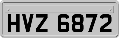 HVZ6872