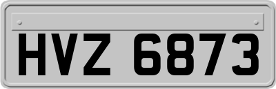 HVZ6873
