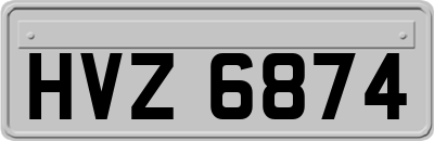 HVZ6874