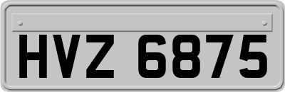 HVZ6875