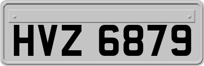 HVZ6879