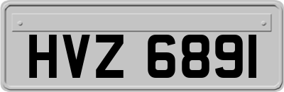 HVZ6891