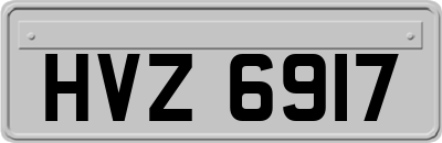 HVZ6917