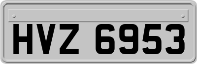 HVZ6953