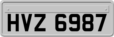 HVZ6987
