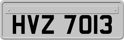 HVZ7013