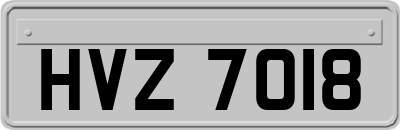 HVZ7018