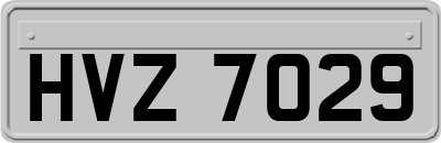 HVZ7029
